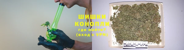 прущие крисы Аркадак