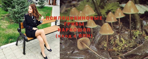 прущие крисы Аркадак