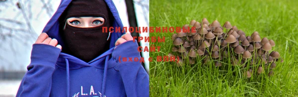 соль курить ск Арсеньев