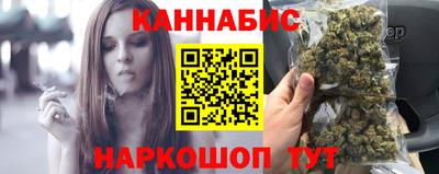 крисы Кулебаки