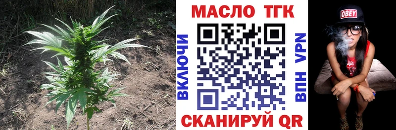 ТГК Wax Вологда