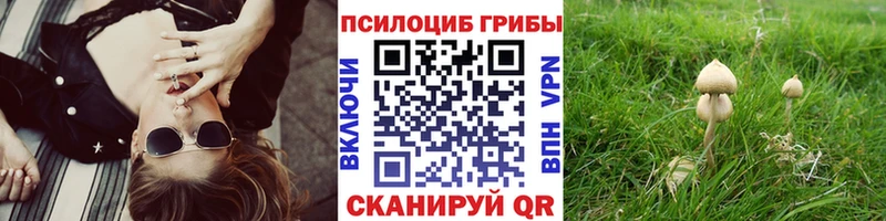 MEGA онион Вологда Псилоцибиновые грибы мицелий