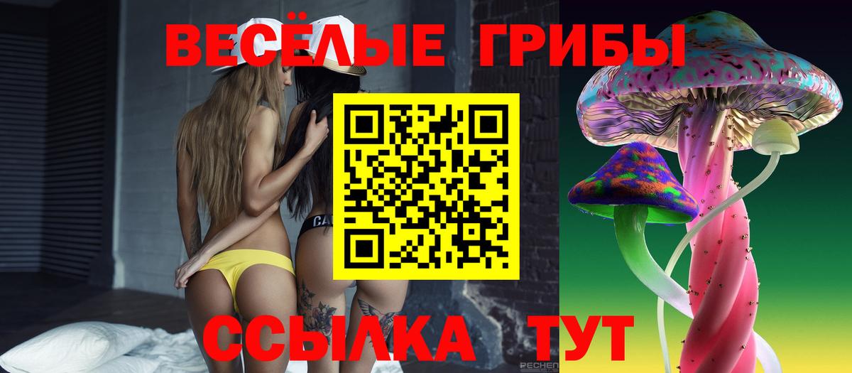 МЕФ Вологда
