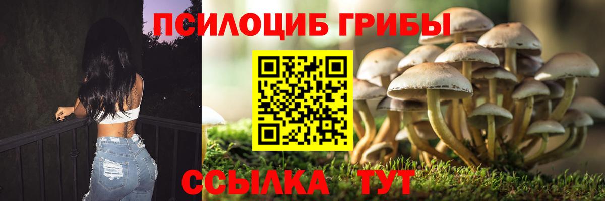 Галлюциногенные грибы Psilocybe  Псилоцибиновые грибы GOLDEN TEACHER  Вход с VPN  Вологда 
