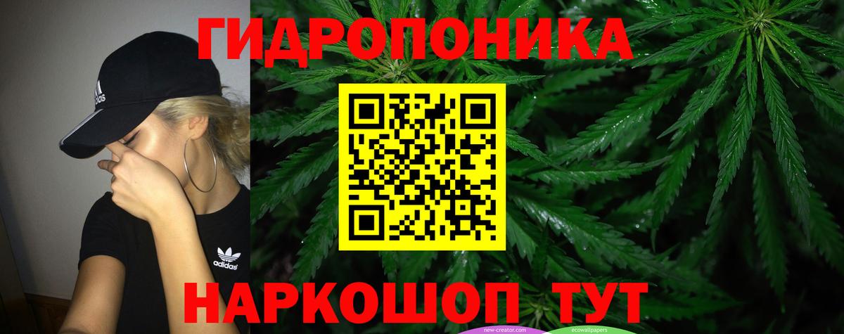 Бошки Шишки LSD WEED  Бошки марихуана тримм  Вход с VPN  Шишки марихуана марихуана  Каннабис VHQ  Вологда 